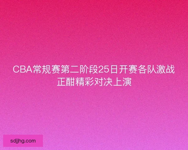 CBA常规赛第二阶段25日开赛各队激战正酣精彩对决上演