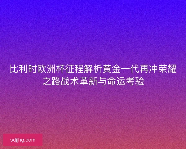 比利时欧洲杯征程解析黄金一代再冲荣耀之路战术革新与命运考验