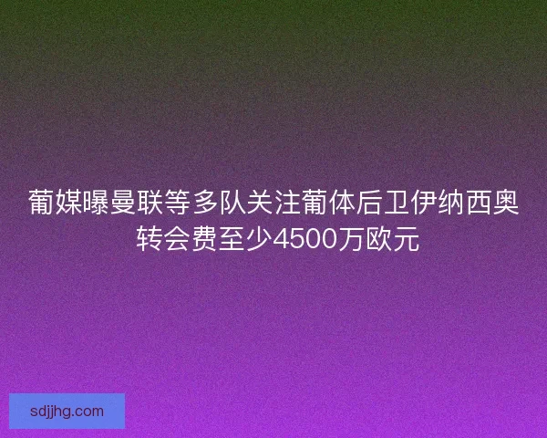 葡媒曝曼联等多队关注葡体后卫伊纳西奥 转会费至少4500万欧元